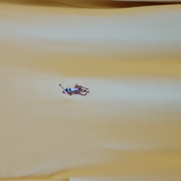 Ralph Lauren Mens polo shirt - Picture 2 of 3
